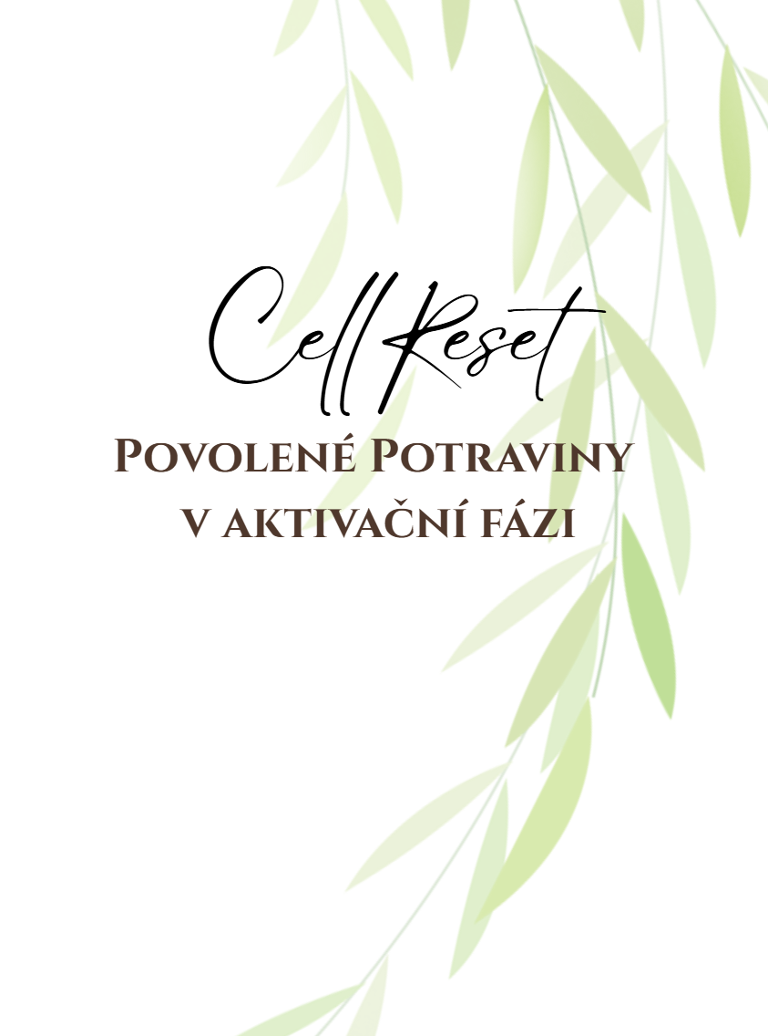 seznam aktivace
