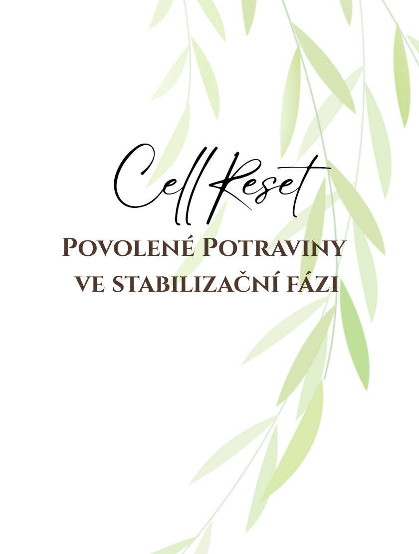 seznam stabilizace
